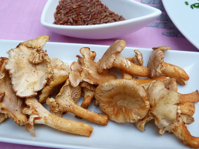 Arròs salvatge-tofu1