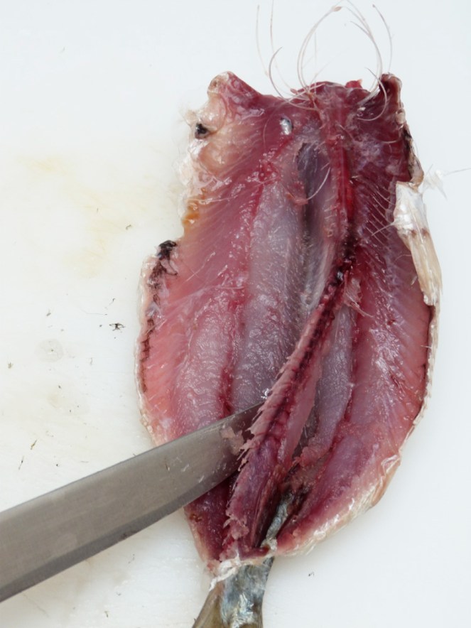 ensalada de sardines2