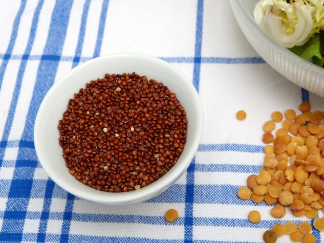 hamburgueses vegetals