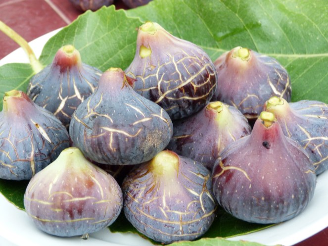 mousse maonès-figues